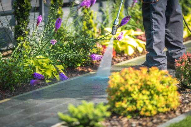 Best Animal Enclosure Cleaning  in Anna, TX
